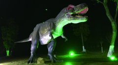 夜拍2